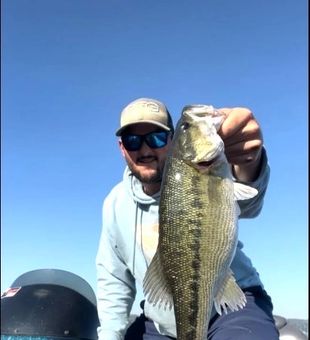 White bass caught on the fly.